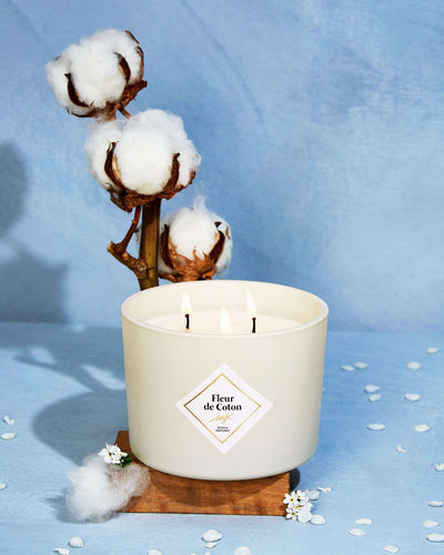 Grande bougie Fleur de Coton