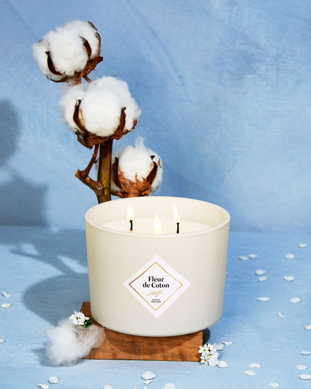 Grande bougie Fleur de Coton