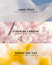 Coffret Bestsellers Sprays