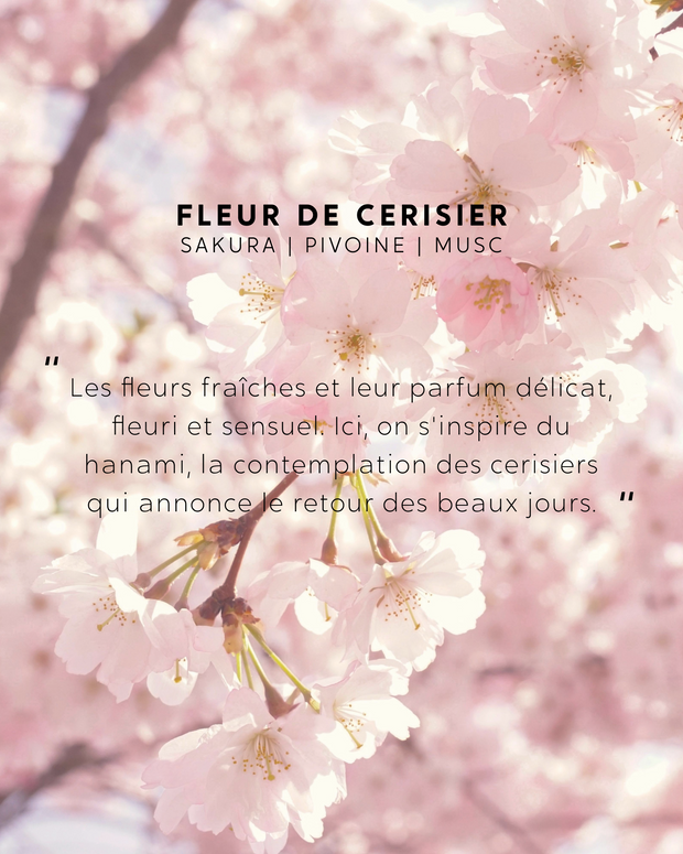 Coffret trio Fleur de Cerisier